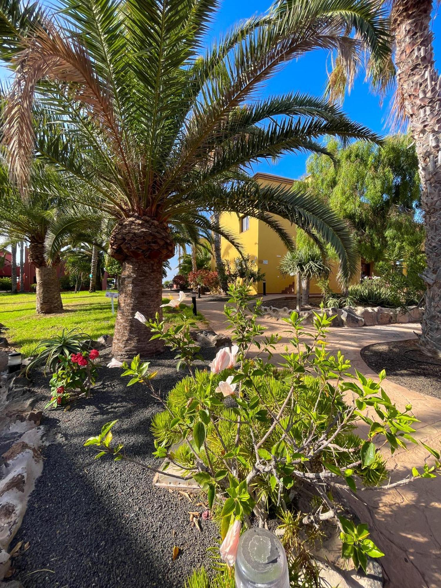Karol Home By Best Holidays Fuerteventura Corralejo Zewnętrze zdjęcie